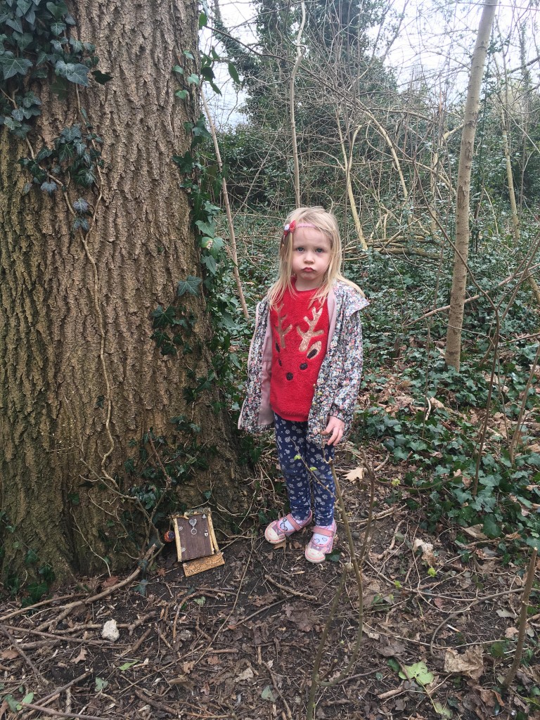 fairy door in tree